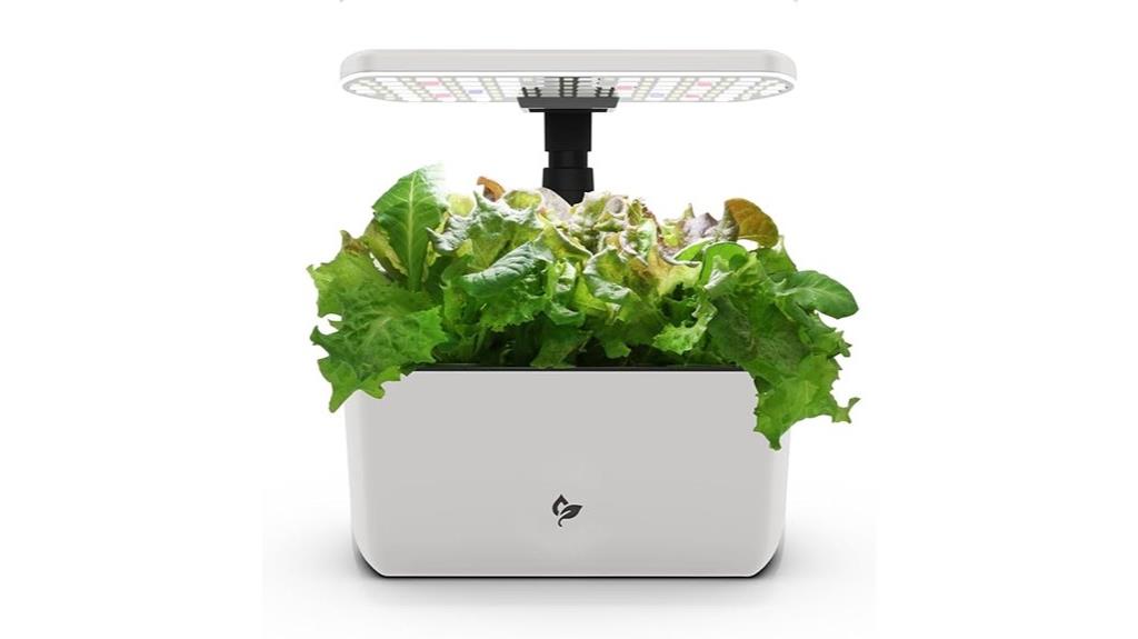 cream soil free indoor garden