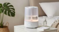 humidifier cleaning prevents mold