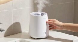 10 Best Best Steam Facial Humidifier Device in 2026
